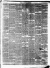 Tavistock Gazette Friday 24 February 1860 Page 3