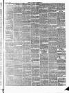 Tavistock Gazette Friday 26 October 1860 Page 3