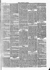 Tavistock Gazette Friday 08 May 1863 Page 3