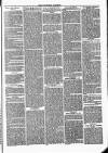 Tavistock Gazette Friday 04 September 1863 Page 3