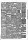 Tavistock Gazette Friday 11 March 1864 Page 3