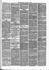 Tavistock Gazette Friday 21 October 1864 Page 7