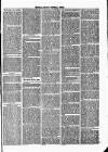 Tavistock Gazette Friday 03 March 1865 Page 7