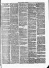 Tavistock Gazette Friday 10 March 1865 Page 3