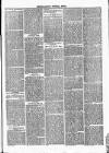 Tavistock Gazette Friday 10 March 1865 Page 7