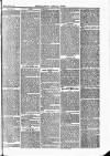 Tavistock Gazette Friday 24 March 1865 Page 3