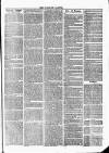 Tavistock Gazette Friday 24 March 1865 Page 7