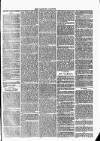 Tavistock Gazette Friday 21 April 1865 Page 3