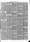 Tavistock Gazette Friday 28 April 1865 Page 7