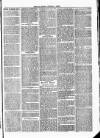 Tavistock Gazette Friday 23 June 1865 Page 7