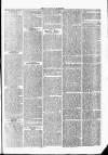 Tavistock Gazette Friday 21 July 1865 Page 3
