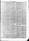 Tavistock Gazette Friday 21 July 1865 Page 7