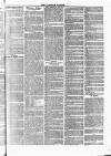 Tavistock Gazette Friday 08 September 1865 Page 3