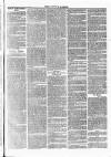 Tavistock Gazette Friday 22 September 1865 Page 3