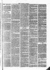 Tavistock Gazette Friday 29 September 1865 Page 3