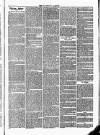 Tavistock Gazette Friday 08 December 1865 Page 3