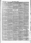 Tavistock Gazette Friday 01 January 1869 Page 3