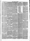 Tavistock Gazette Friday 12 March 1869 Page 3