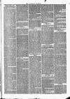 Tavistock Gazette Thursday 14 April 1870 Page 3