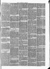 Tavistock Gazette Friday 20 May 1870 Page 7