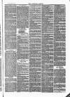 Tavistock Gazette Friday 10 June 1870 Page 3