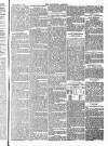 Tavistock Gazette Friday 03 March 1871 Page 5