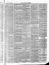 Tavistock Gazette Friday 23 February 1872 Page 7