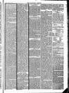 Tavistock Gazette Friday 31 May 1872 Page 5