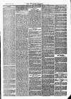 Tavistock Gazette Friday 24 January 1873 Page 3
