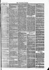 Tavistock Gazette Friday 19 December 1873 Page 3