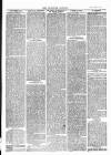 Tavistock Gazette Thursday 02 April 1874 Page 6