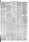 Tavistock Gazette Friday 19 June 1874 Page 7