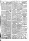 Tavistock Gazette Friday 04 September 1874 Page 3
