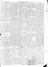 Tavistock Gazette Friday 01 January 1875 Page 5