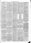 Tavistock Gazette Friday 18 June 1875 Page 7