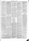 Tavistock Gazette Friday 08 January 1875 Page 3