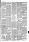 Tavistock Gazette Friday 11 June 1875 Page 3