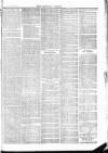 Tavistock Gazette Friday 29 October 1875 Page 3