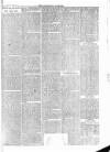 Tavistock Gazette Friday 31 December 1875 Page 7