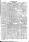 Tavistock Gazette Friday 14 January 1876 Page 3