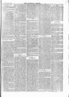 Tavistock Gazette Friday 04 February 1876 Page 7
