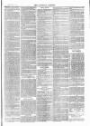 Tavistock Gazette Friday 18 February 1876 Page 3