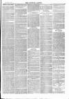 Tavistock Gazette Friday 25 February 1876 Page 3