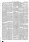 Tavistock Gazette Friday 25 February 1876 Page 6
