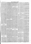 Tavistock Gazette Friday 25 February 1876 Page 7