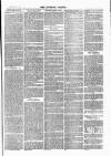 Tavistock Gazette Friday 01 September 1876 Page 3