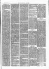 Tavistock Gazette Friday 01 September 1876 Page 7
