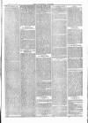 Tavistock Gazette Friday 01 December 1876 Page 7