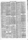 Tavistock Gazette Friday 02 March 1877 Page 3