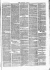 Tavistock Gazette Friday 16 March 1877 Page 3